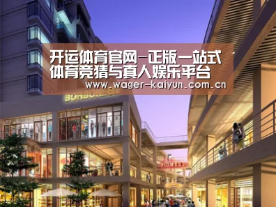 案例展示一(图1)