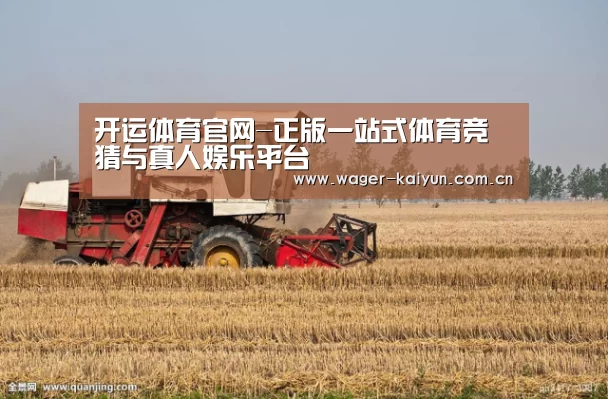 产品名称七(图1)