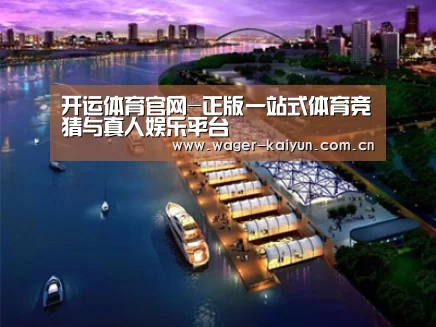 案例展示八