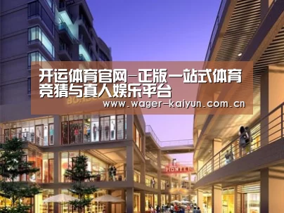 案例展示一